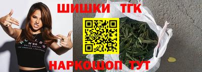 тгк Новозыбков