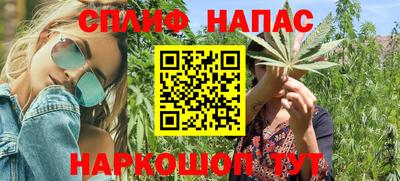 тгк Новозыбков